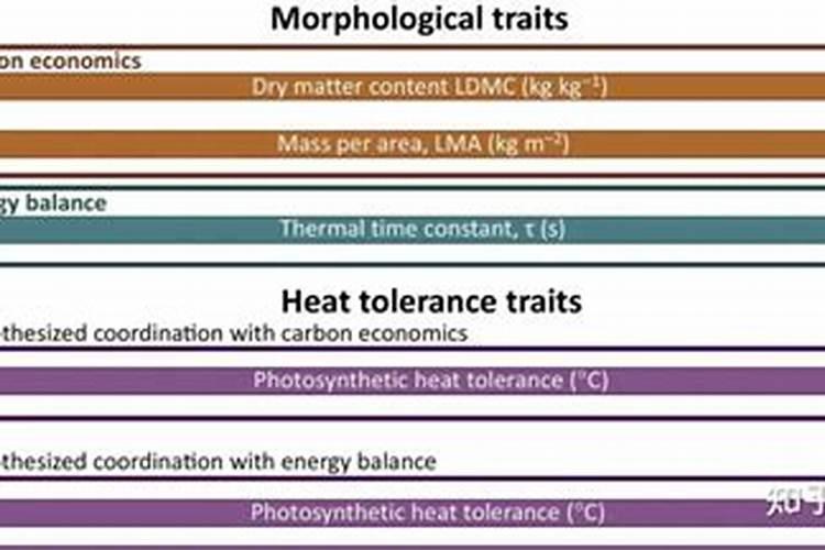 叶面肥是什么？