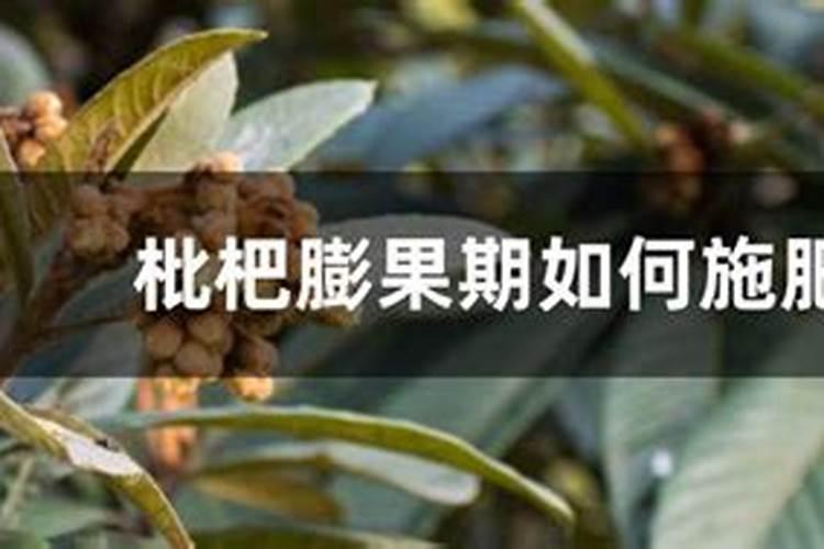 猪粪加工有机肥生产设备种类及方法