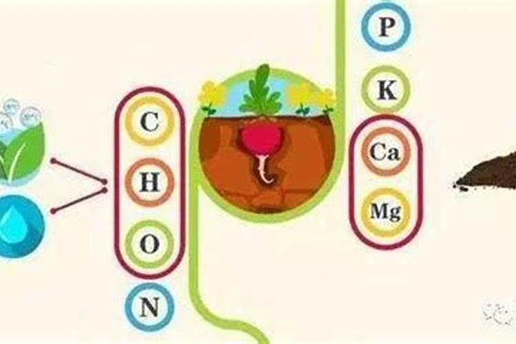 常见的氮肥、磷肥、钾肥、复合肥有哪些……