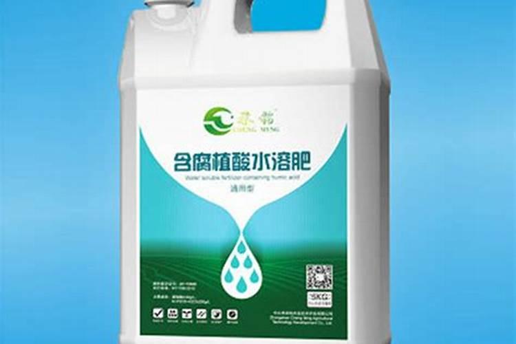 多肉要施什么肥合适