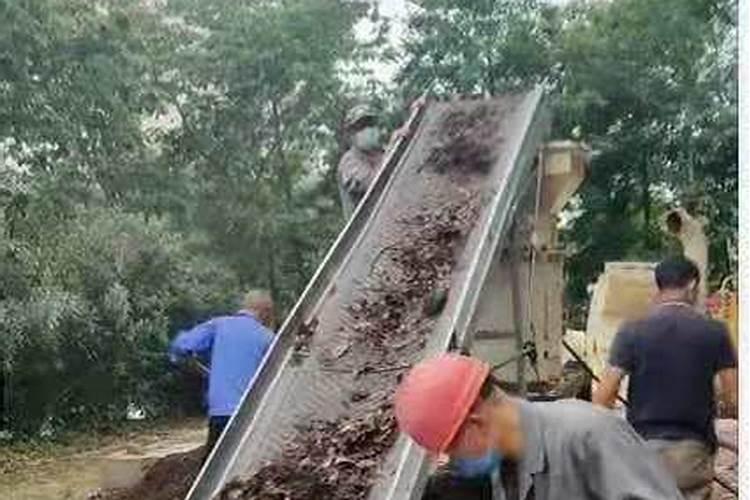 氮肥对植物的作用有哪些？教你自制氮肥的制作方法