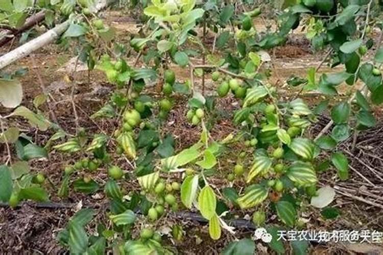 硝酸的正确使用方法及注意事项