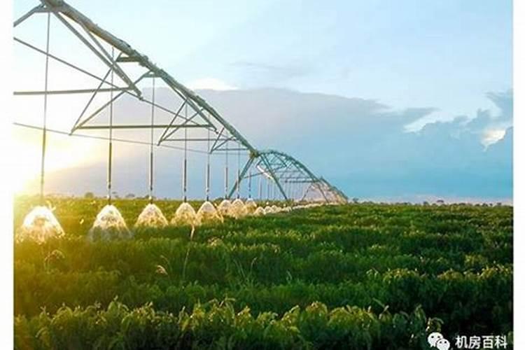 二氧化碳用作温室的肥料是利用什么性质？.物理还是化学？.