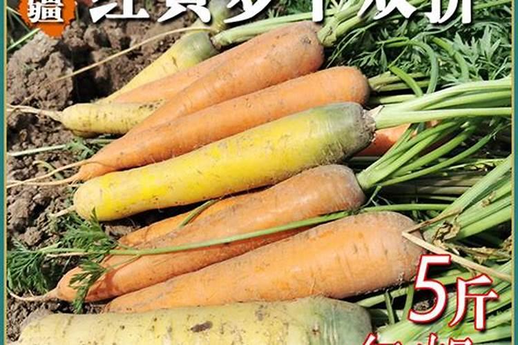 黄腐酸钾最佳使用时间