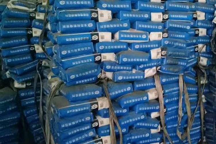 盆栽金桔什么时候施肥