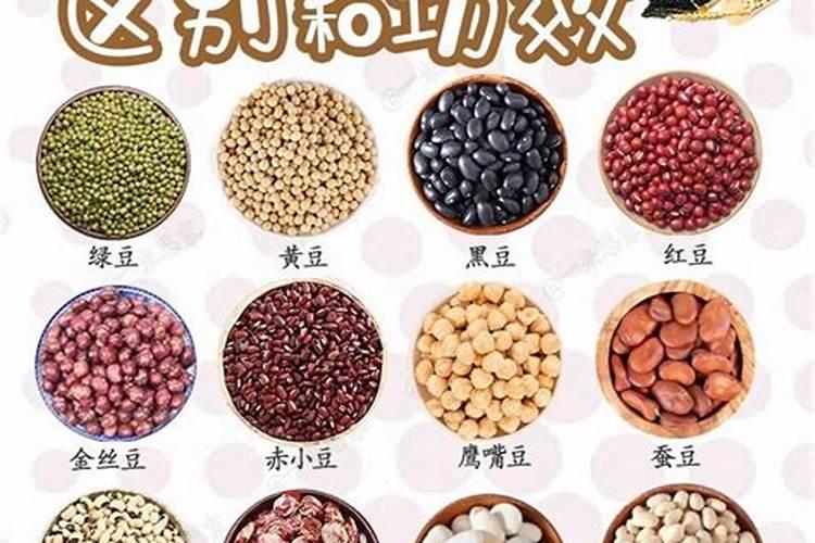 挂果沙糖桔用什么肥料绿叶