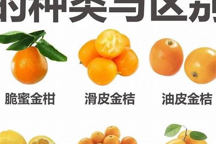 橘子皮泡水浇花相隔多长时间再浇一次？