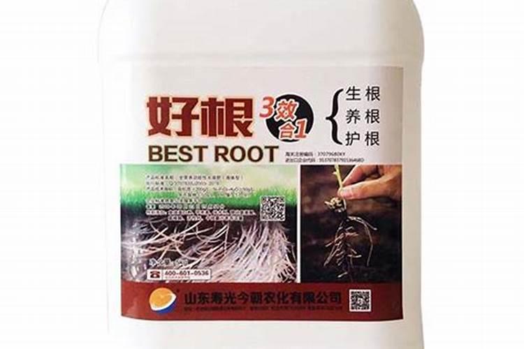 果树用水溶肥好还是复合肥好(复合肥可以兑水浇果树吗)