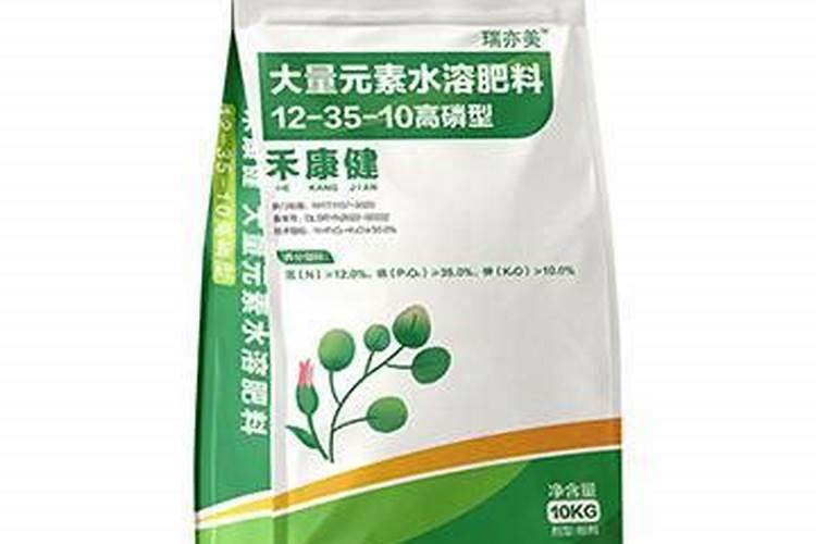 东北毛葱几月份种植合适