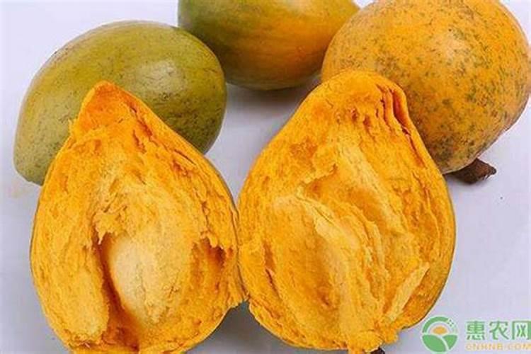 蛋黄果种植技术与管理