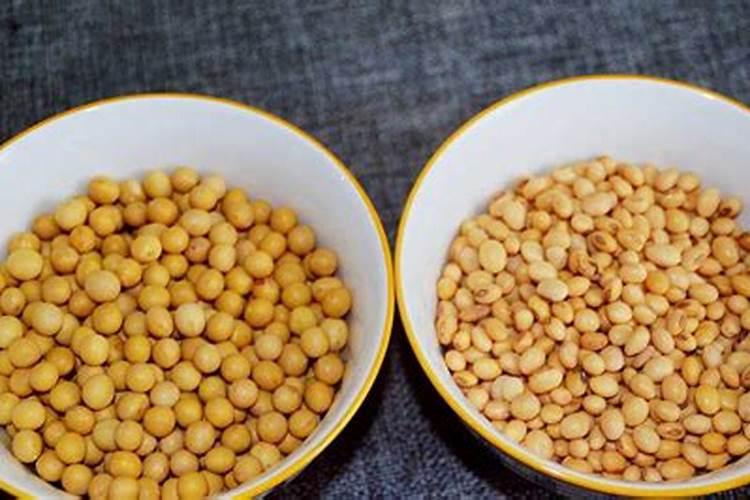 发酵黄豆做肥？