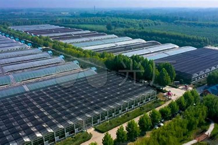 水溶肥什么牌子靠谱？