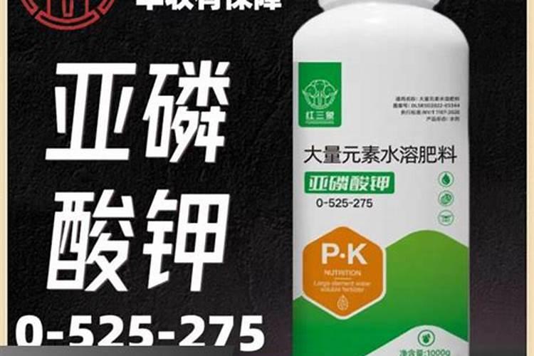 果树结果期用哪种水溶肥效果好？果树膨大期施肥怎么施？