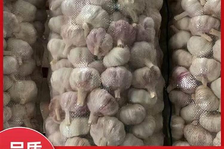 种植大蒜一亩地用多少斤底肥化肥叶面肥