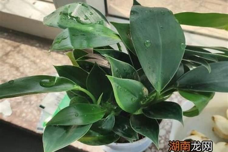 土地变酸什么原因