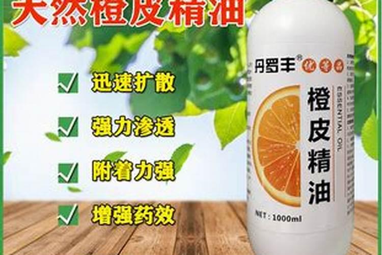 打瓜秧子死咋回事