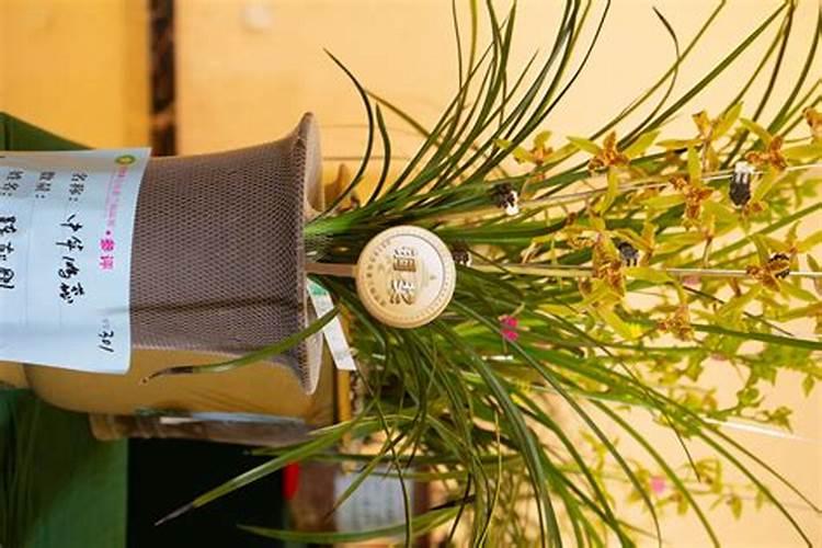 苹果高温能喷磷酸二氢钾吗有毒吗