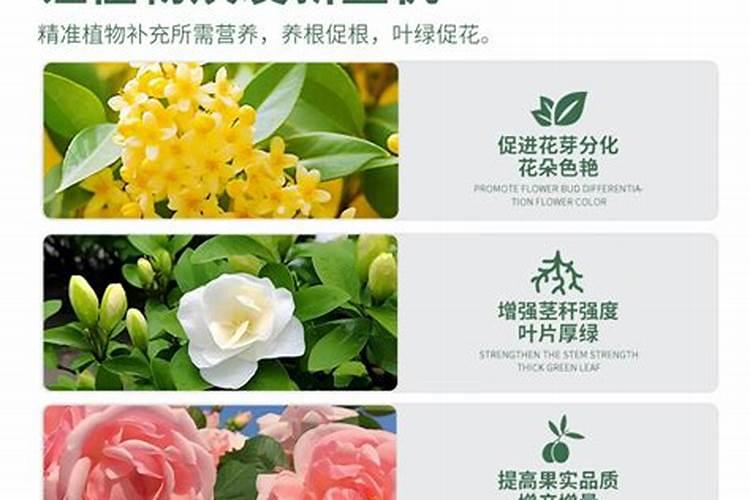 磷酸二氢钾加尿素的使用方法