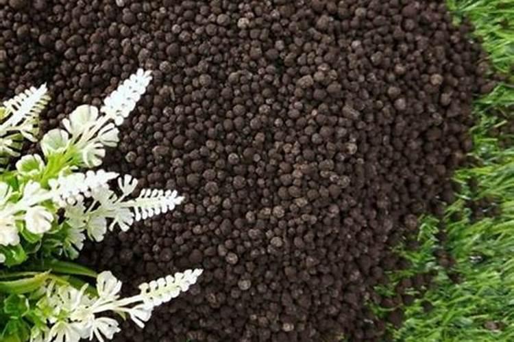 生物肥和有机肥哪个好