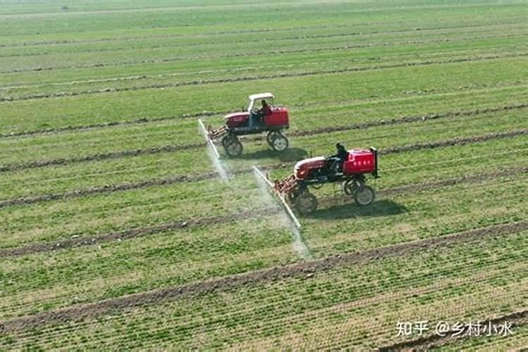 高温芝麻花期可以喷磷酸二氢钾吗