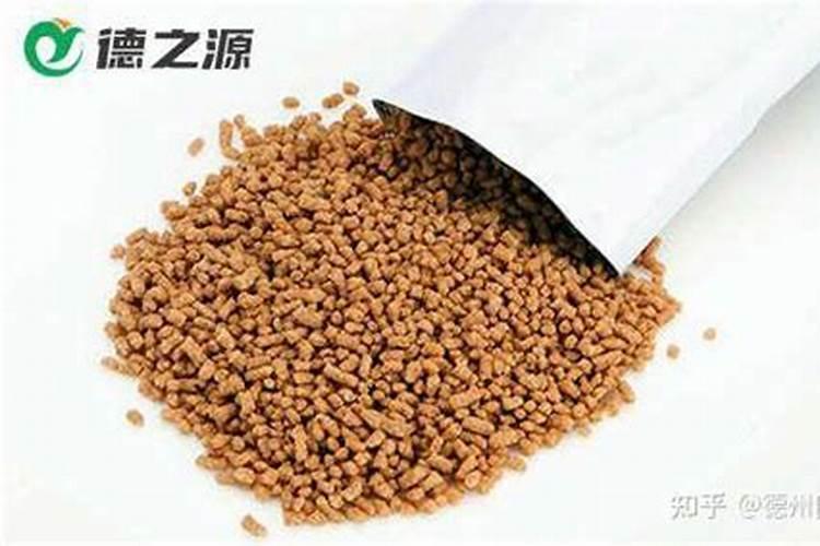 脐橙上色的正确方法