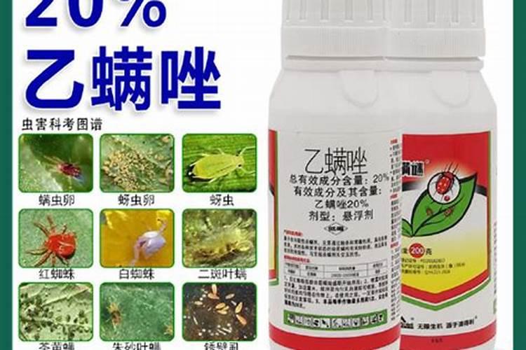 刚种的八角苗放什么肥料