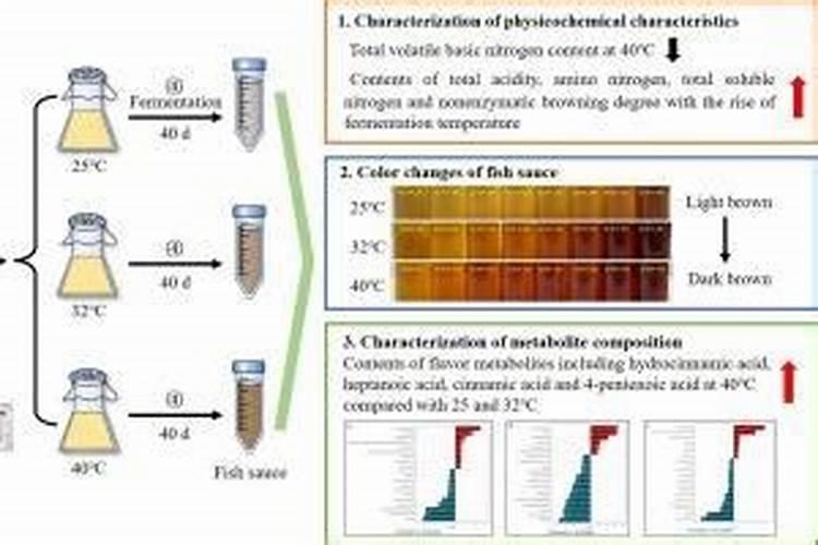 发酵好的鱼蛋白怎样保存不会坏