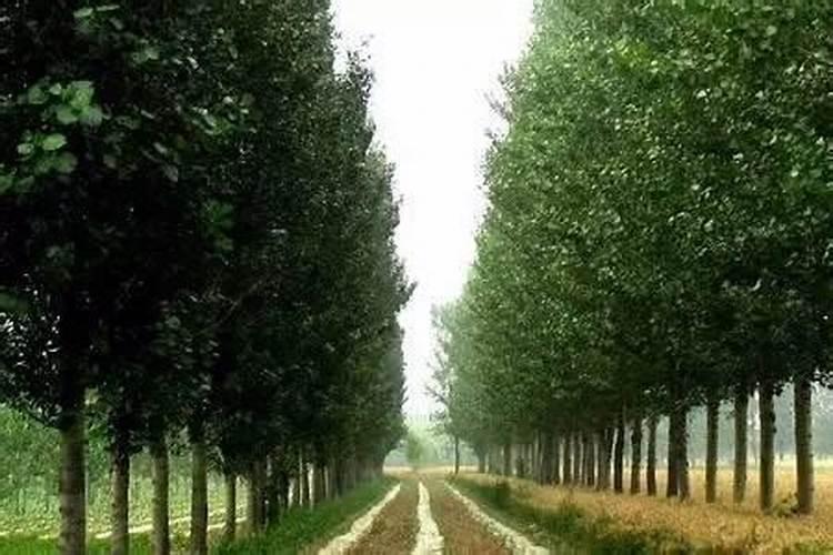 氨基酸分为哪三类