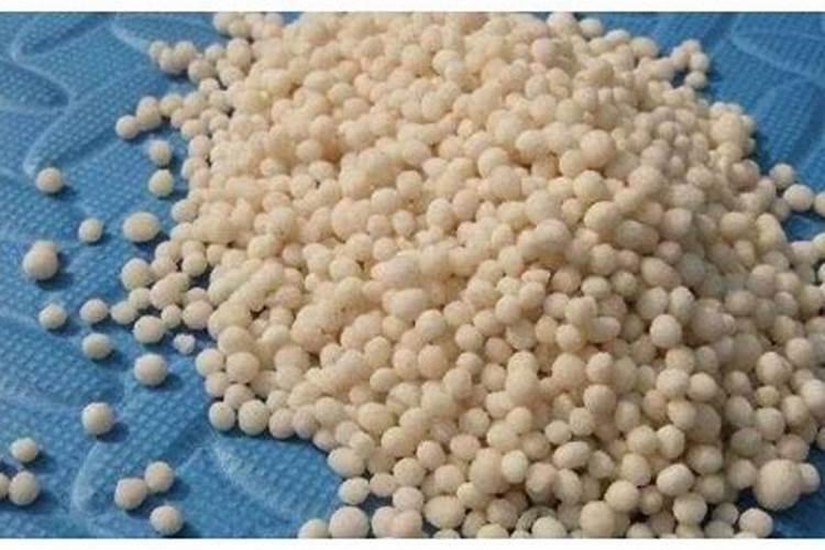 树叶落地后作为肥料的知识