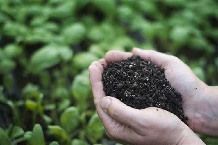 新型肥料有哪些特点