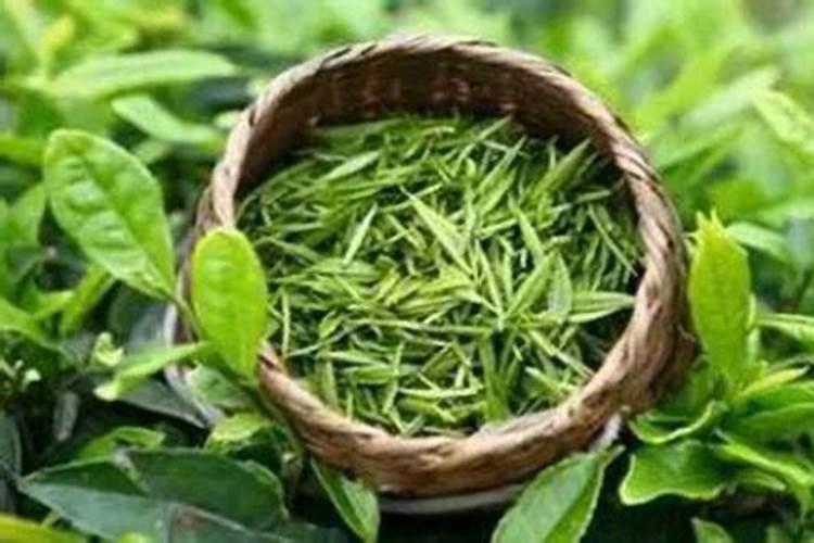 英九红茶放高氮还是放高钾肥好