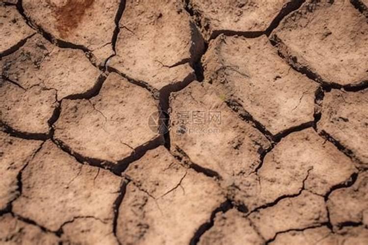 大棚蔬菜施肥的注意事项