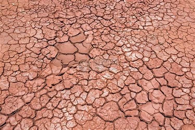 雨天施肥还是晴天施肥