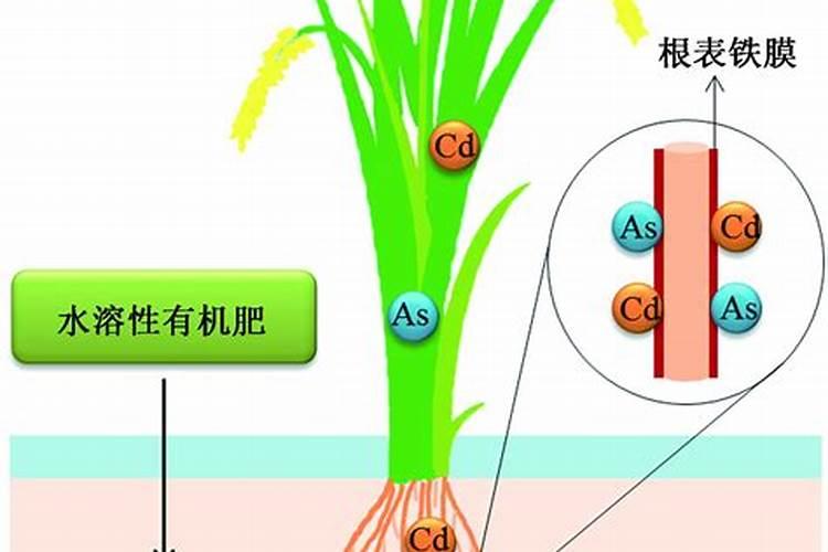 农业用肥主要危害元素