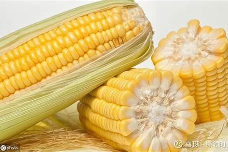 玉米用什么含量的肥料