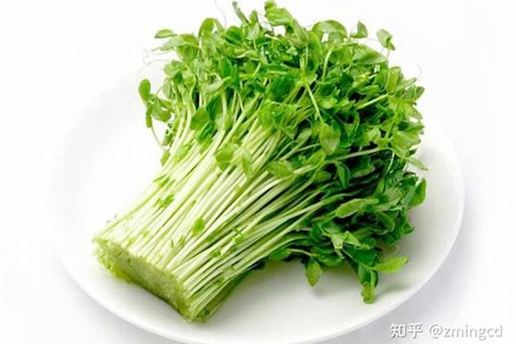 玉米施肥的正确方法