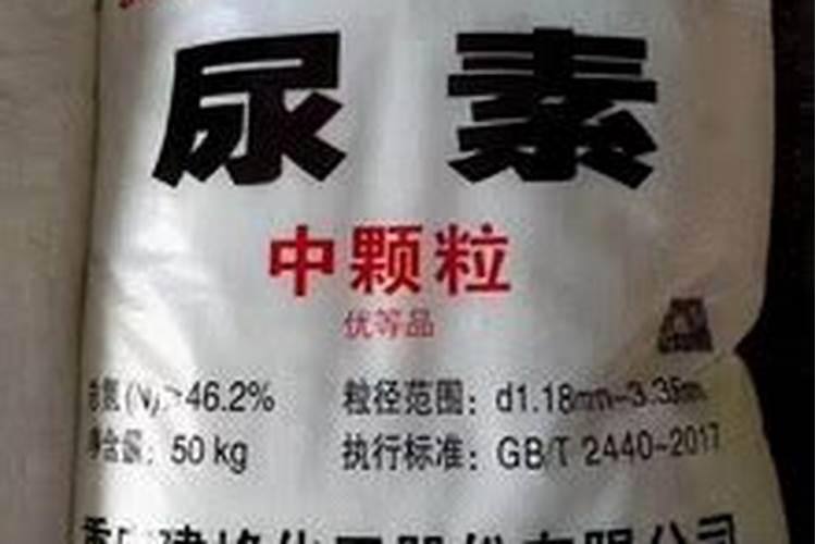 男人吃什么会导致不举