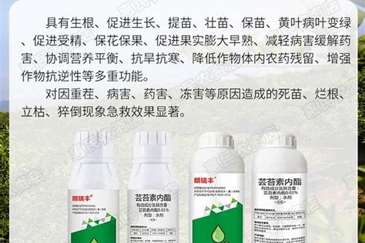 芸苔素的特效配方