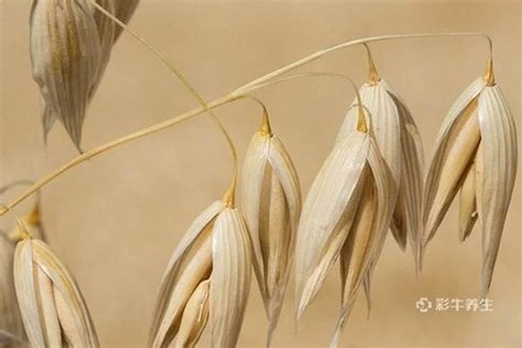 悬浮型大量元素水溶肥(德国EDENN螯合技术生产)