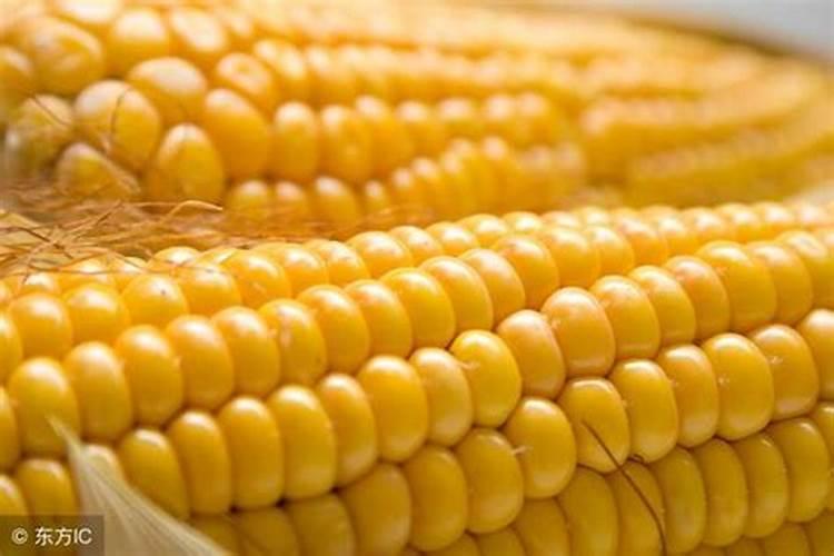 金正大控释玉米专用肥261212多少钱一吨