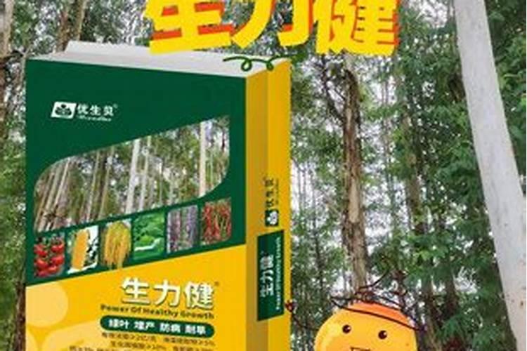 广西桉树肥料哪个肥好