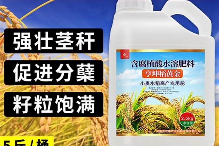 水稻叶面肥哪种好 如何正确喷施