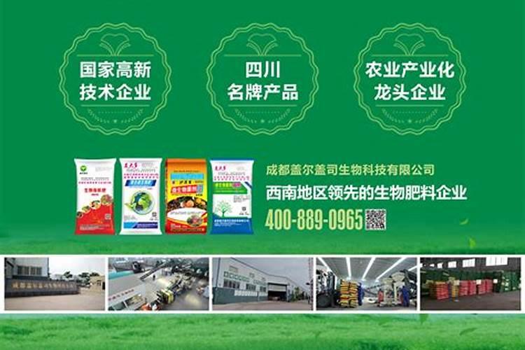 月季烂根能用芸苔素内酯吗