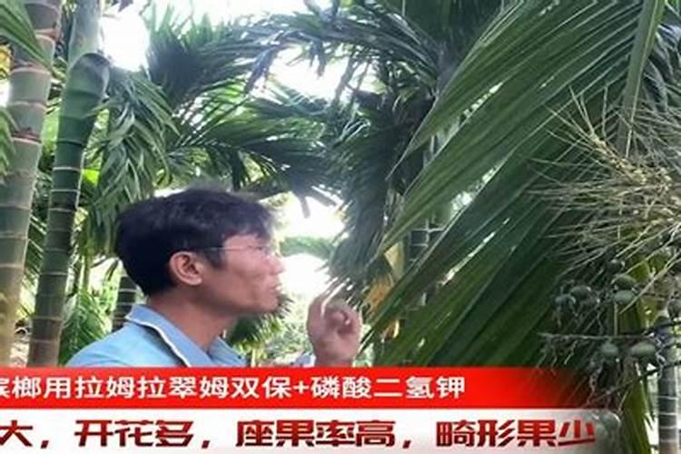 什么植物叶面肥变绿最快