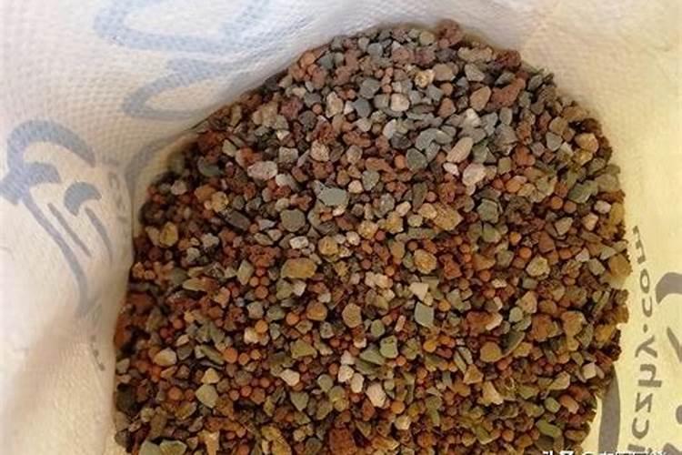 花多多10号可以浇多肉吗