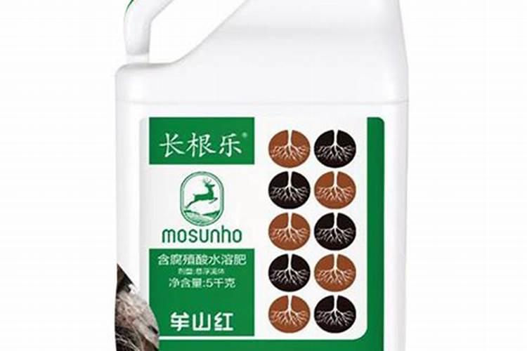 绿甘蓝汁怎么回事