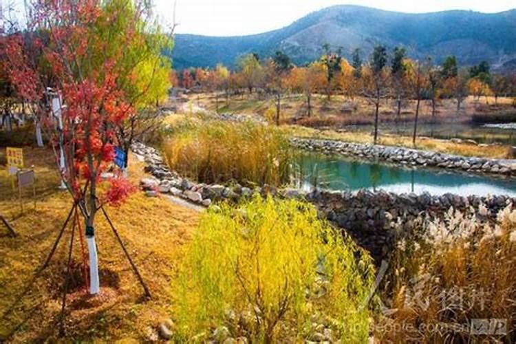 益施帮氨基酸水溶肥