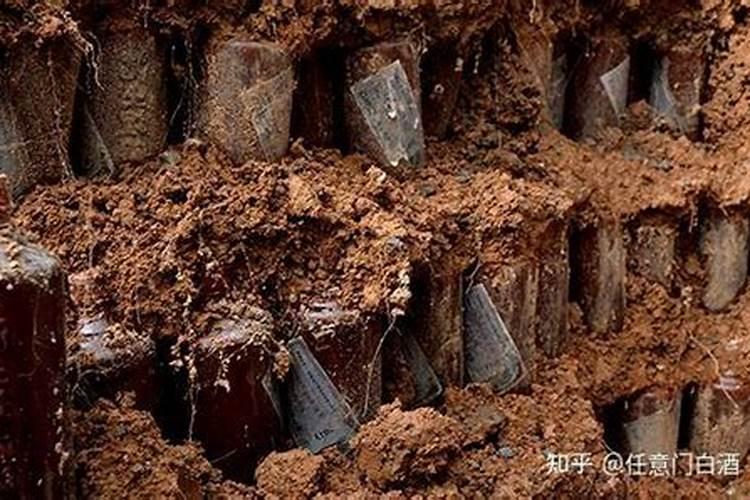 氮肥不兑水,直接埋土里行吗