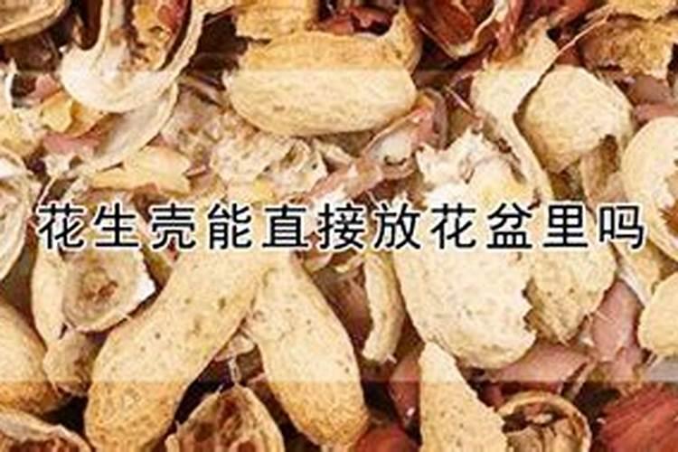 开完花的月季花瓣可以放在花盆里当肥料吗