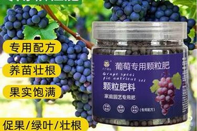 水溶肥是什么肥料